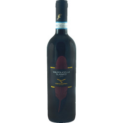 Campagnola Valpolicella...