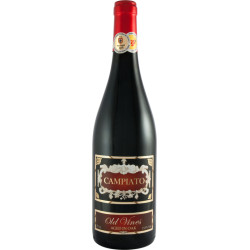 Campiato Rot